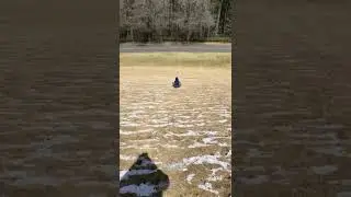 GrassBoarding