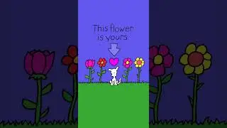 This flower is yours. #love #iloveyou #shorts #animals #flower #dog #dogs #chippy #chippythedog