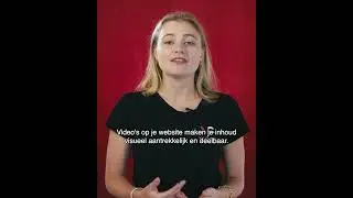 VideoCrew   Reel Elena   ROI