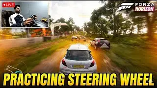 Learning g29 steering wheel