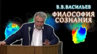 Обсуждаем философию сознания с профессором Вадимом Валерьевичем Васильевым