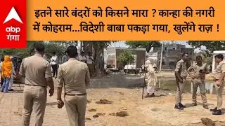 Mathura News: गोवर्धन में दर्जनों बंदरों की हत्या से हाहाकार ! विदेशी नागरिक को दबोचा&hellip; | ABP GANGA