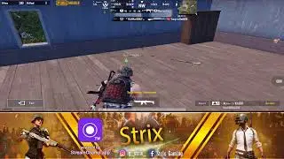 Strix Gaming Live Stream