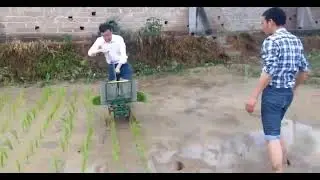 🌾Rice Transplanting|Double row rice planting method|Manual rice planter|#Machine#paddy#shorts#Viral