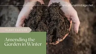 Common Sense Gardening: Amending the Garden in Winter