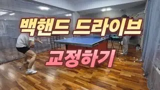 [탁구 포인트 레슨 333] 🏓백핸드 드라이브 교정 #pingpong #tabletennis #탁구레슨 #신촌탁구장 #탁구대회 #복기