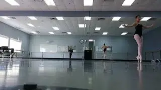 White swan variation practice 