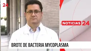 Broncopulmonar y alerta por casos de mycoplasma: a qué síntomas se debe estar atento | 24 Horas