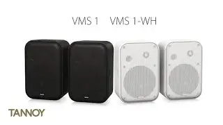 Tannoy VMS 1 Full-Range Surface-Mount Loudspeaker.