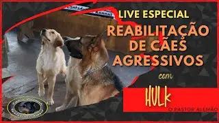 LIVE - Reportagem Sobre Reabilitação de Cães Agressivos - Revista Cães e Cia