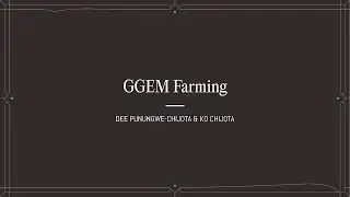 GGEM Farming Pitch // Dee Punungwe-Chijota and Ko Chijota //  2023 Summit | Praxis
