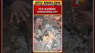 Fog And Cold Wave Grip Gorakhpur, People Warm By Bonfire