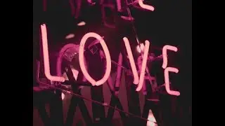 Aries STOP! This person LOVES you! December 2019 Love Tarot Reading