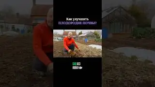 Как улучшить ПЛОДОРОДИЕ ПОЧВЫ? #садбезлопат #садоводство #огород