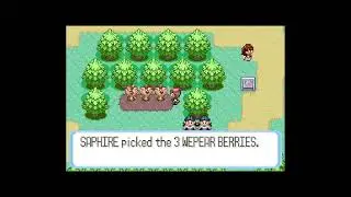 How to get Wepear Berry in Pokemon Ruby