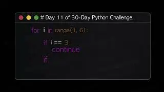 Python 30 Day Challenge Day 11 Reel