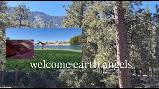 Give me just 5 minutes of your time! Spiritual growth, Yoga, Vegan meals, and Tarot!
