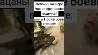 #funny #cute #lol #meme #fun #shorts #reels #умиление #смешно #прикольныекоты