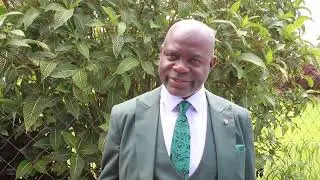 KITWE TRADERS APPRECIATE KWACHA GAIN