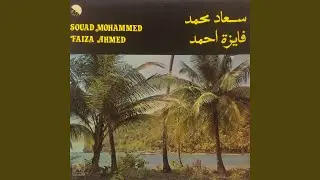 Ana Kad Naseytak Fansani