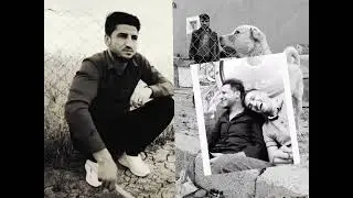 ((Aram Mamande)) shazi Jaw ga3dae(( Rebin Qrsh ))