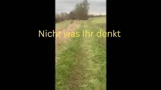 Die Gr&ouml;nland-Krise: Bricht die Nato jetzt auseinander?
