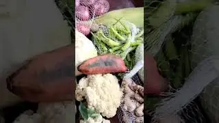 #jiomart vegitables review,full video link in discription #shorts #jiomartonlineshopping #shortsfeed
