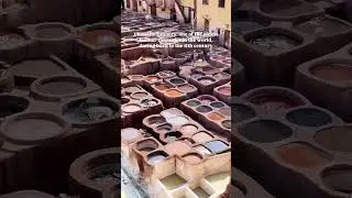 The Truth About Moroccan Tanneries | Worth the Smell?