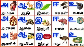 அஆஇஈ உயிர்எழுத்துக்கள்/Uyireluthukkal Tamil Alphabets for kids @PEEKABOO-ff8wq #uyireluthukkal 