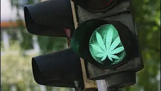 IIPR, CCHWF 2 Pot Stocks to Buy in 2021 That Could Make You Rich