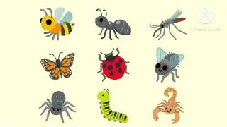 Insect Bee Ant Mosquito Butterfly Ladybug Fly Spider Caterpillar Scorpion