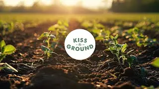 Plunge x Kiss the Ground - 1% for the Planet