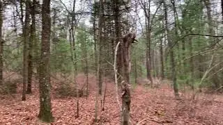 The Sound Location