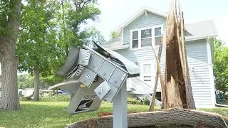 Heavy tree damage seen throughout Billings due to Sunday storm
