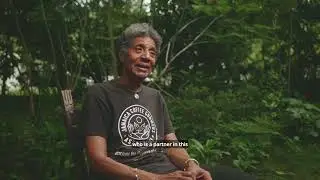 Jamaica Coffee Growers Association, CSO Coalition for Forests, Jamaica