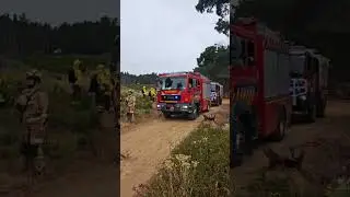 22 noviembre 2025. 1er dia ejercicio conjunto grupos forestales, Laguna Verde, Valpo (2da parte) 