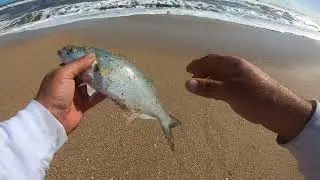 Fish Report and Catches of the Day 2-23-2020