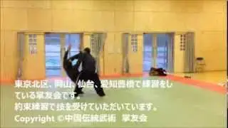 八卦掌　中国伝統武術　掌友会　magui　bagua　約束練習動画