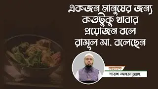 একজন মানুষের জন্য কতটুকু খাবার প্রয়োজন বলে রাসূল সা. বলেছেন | শায়খ আহমাদুল্লাহ