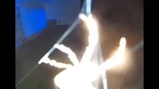 Orb Weaver at Work: Nature&rsquo;s Night-Shift Engineer (Warning: Big Spider!) | Backyard Wildlife Cam