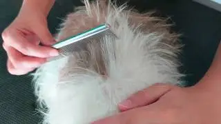 Paw Brothers MatMagic Coat Conditioner Detangling Spray Review