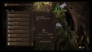 SoulFrame