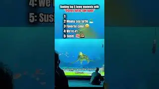 Disney Turtle Talk With Dude Turtle Funny Moments 🤣🤣