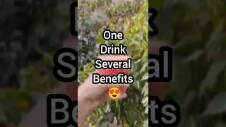 One Drink With Several Benefits 😍 #shorts
