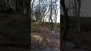 Buckden woods gap jump