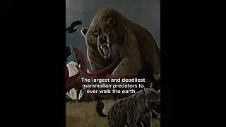 The 4 largest predatory mammilians to ever live #prehistoric #mammals