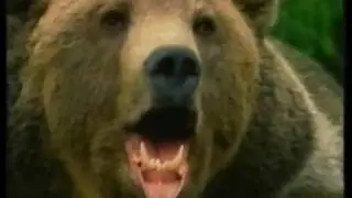 Reklamy 2005