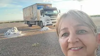 Falando sobre os defeitos e virtudes do nosso Iveco Vertis 90v18. (Parte 2).