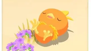 Sleep Session 896 - Torchic and the Wooper duo!
