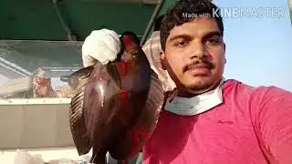 Deep sea fishing 🎣 In Yanbu